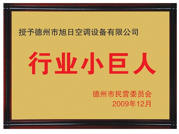 行业小巨人